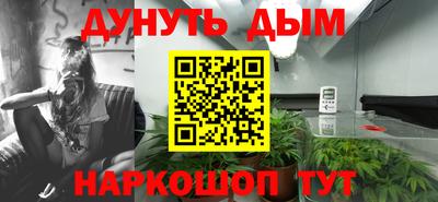 прущие грибы Можайск