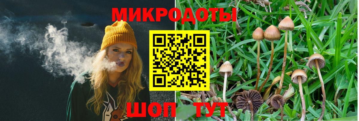 Сунжа  Галлюциногенные грибы ЛСД  магазин    Галлюциногенные грибы мухоморы  Вход с VPN 