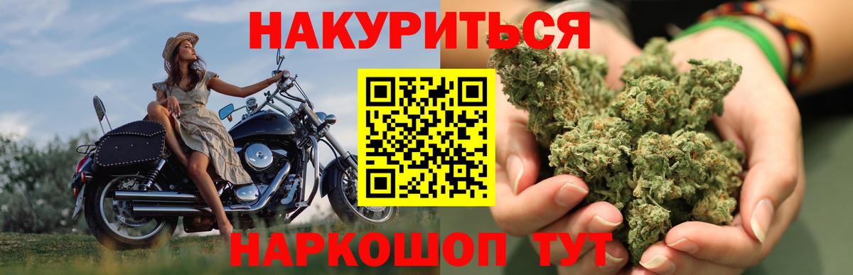 Каннабис ГИДРОПОН  Марихуана планчик  Вход с VPN  Сунжа 